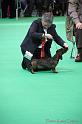 Crufts2011_2 939